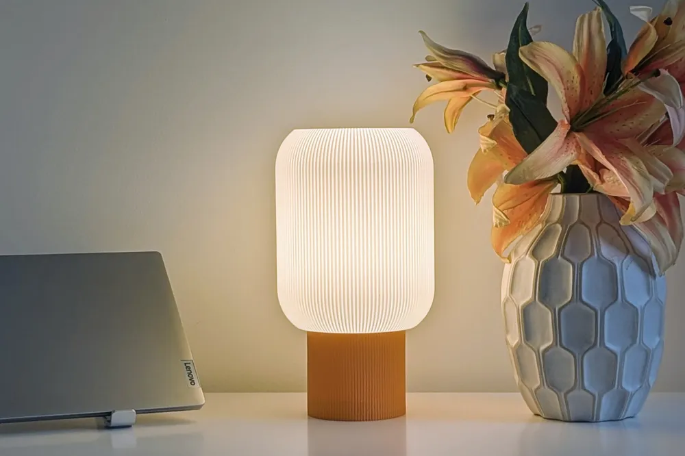 Buy Lunar Night Lamp - 3D printed lamps online India